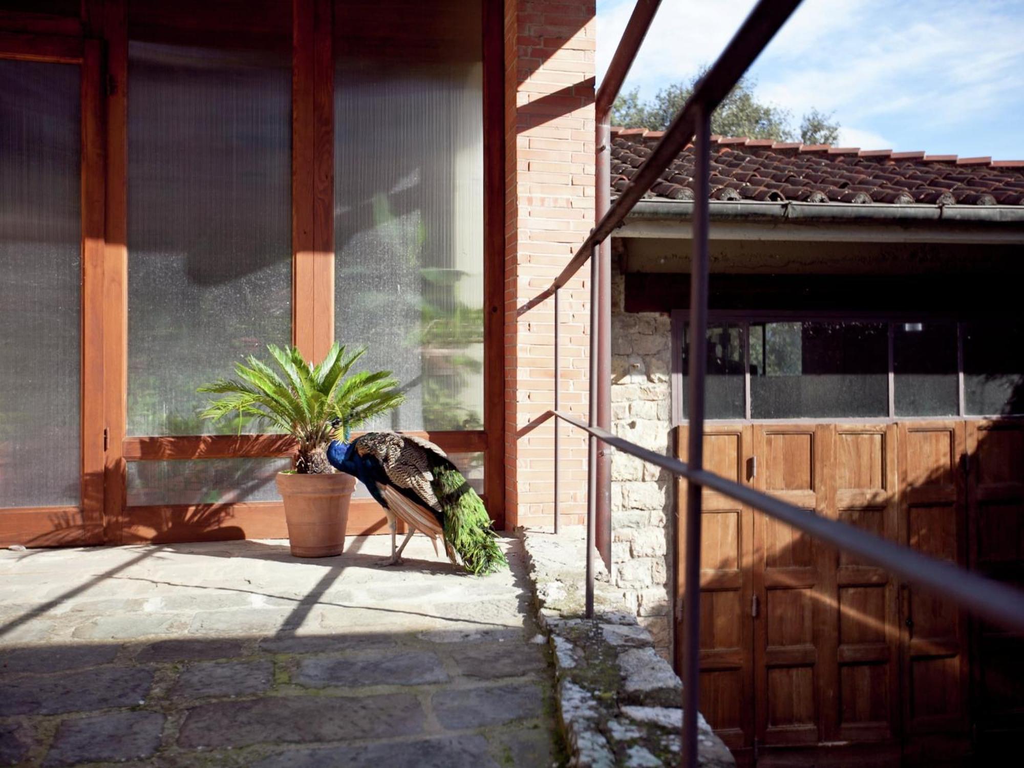 Pleasant Apartment With Swimming Pool Garden Bbq Parking Lucolena in Chianti Esterno foto
